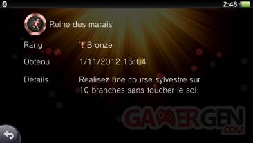 Assassin's Creed III Liberation trophees bronze 05.11 (54)
