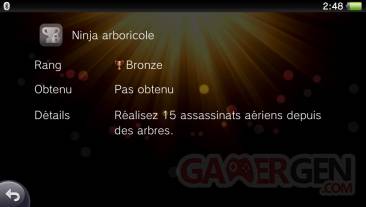 Assassin's Creed III Liberation trophees bronze 05.11 (55)