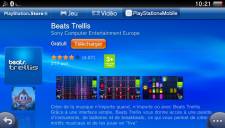 Beats Trellis logo 13.02.2013 (3)