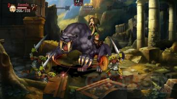 Dragon's Crown 04.07.2013 (9)