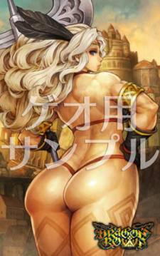 Dragon's Crown 08.05.2013 (4)