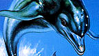 Ecco The Dolphin logo vignette 24.09.2012.