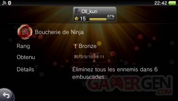 Ninja Gaiden Sigma Plus trophees Bronze caches masques 06.11.2012 (99)