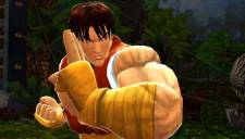 Street Fighter X Tekken 29.06 (16)
