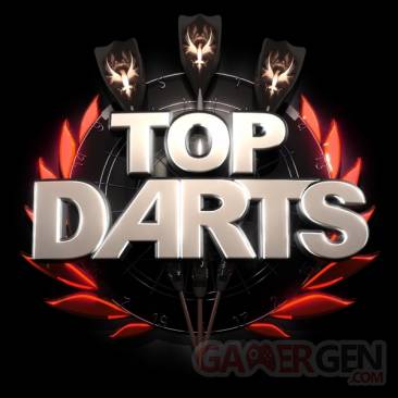 Top Darts 11