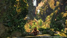 Uncharted Golden Abyss 064