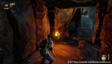 Uncharted Golden Abyss 306